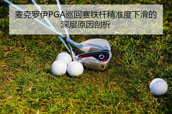 mai-ke-luo-yi-xun-hui-sai-tie-gan-jing-zhun-du-xia-hua-de-shen-ceng-yuan-yin-pou-xi-2-175.jpg
