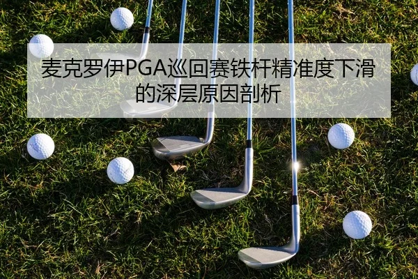 mai-ke-luo-yi-xun-hui-sai-tie-gan-jing-zhun-du-xia-hua-de-shen-ceng-yuan-yin-pou-xi-3-715.jpg
