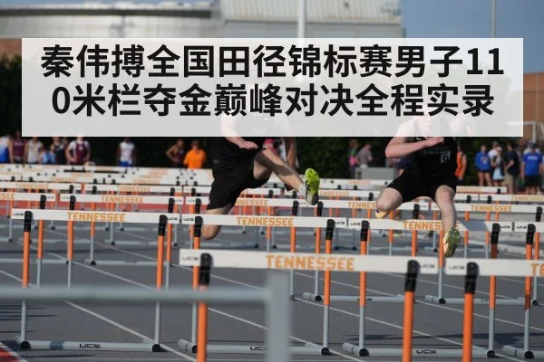 秦伟搏全国田径锦标赛男子110米栏夺金巅峰对决全程实录