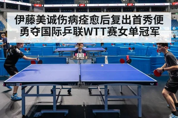 table tennis match highlight